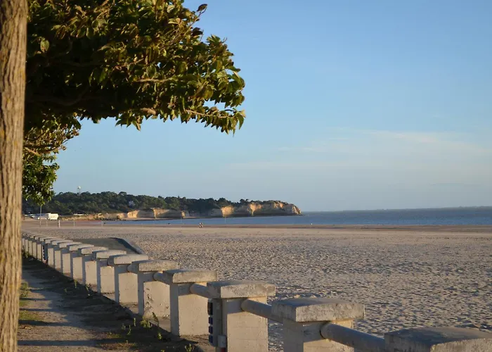 Le Gravelot Royannais